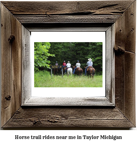 horse trail rides near me in Taylor, Michigan